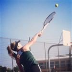 4/1/14 - Basha v. Mesa Skyline